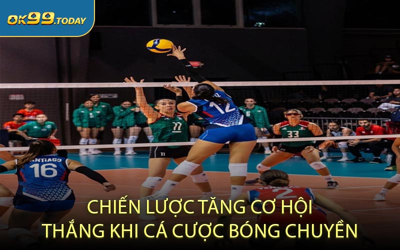 Chiến lược tăng cơ hội thắng khi cá cược bóng chuyền