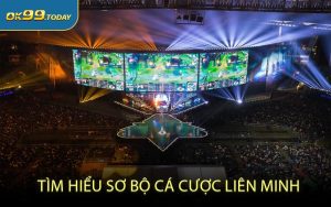 Tìm hiểu sơ bộ cá cược Liên Minh