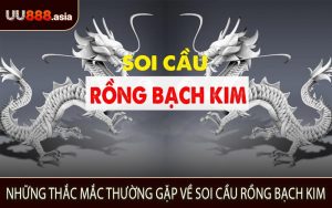 Những Thắc Mắc Thường Gặp Về Soi Cầu Rồng Bạch Kim